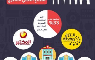 ماذا تمتلك الشركات الاماراتية في مصر
