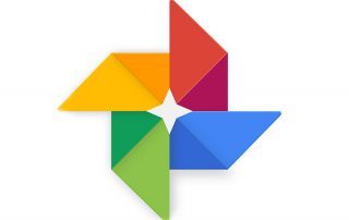 برنامج Google Photos بإمكانه التعرف على الحيوانات داخل الصور