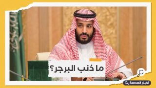 سخرية واسعة.. بن سلمان يستأسد على البرجر التركي ويقرر استبداله باليوناني