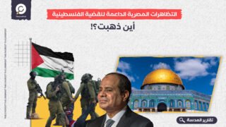 التظاهرات المصرية الداعمة للقضية الفلسطينية.. أين ذهبت؟!