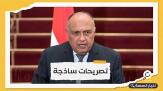 وزير الخارجية المصري: لن نتضرر من الملء الثاني لسد النهضة