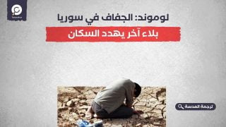 لوموند: الجفاف في سوريا.. بلاء آخر يهدد السكان