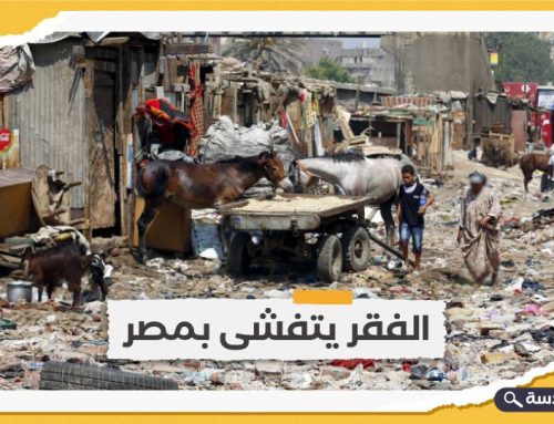 “نجلة عبد الناصر” : نسبة الفقر في مصر بلغت مؤخرا 34% وهذا رقم فظيع
