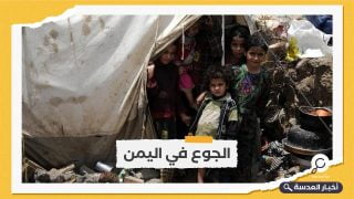 الأمم المتحدة: أسر يمنية تأكل أوراق الشجر