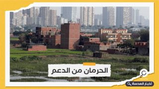 الحرمان من الدعم عقوبة المعتدين على الأراضي الزراعية في مصر