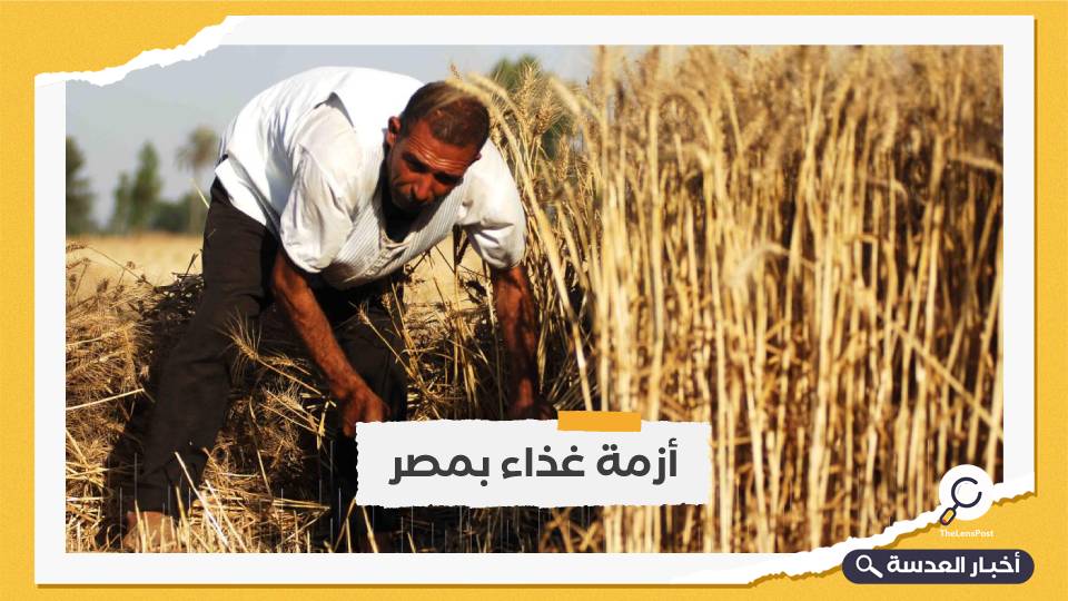 أزمة قادمة.. انخفاض مخزون مصر من القمح إلى النصف خلال 10 أيام فقط