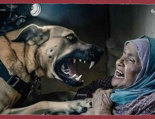 في جباليا.. الاحتلال يطلق كلباً بوليسيا على مسنة فلسطينية