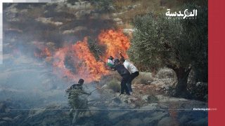 تصعيد دموي في الضفة.. المستوطنون يحرقون ويعتقلون على مرآى من سلطة عباس