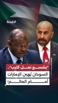 بعبارة "بشسع نعل كليب".. مندوب السودان يشن هجوما حادا على الإمارات